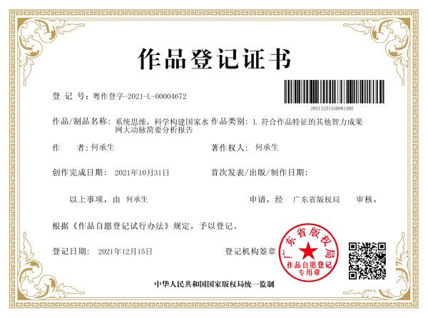 《系统思维，科学构建国家水网大动脉简要分析报告》作品说明书